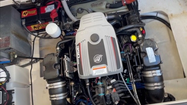 Regal 2565 Window Express